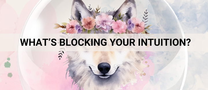 What's Blocking Your Intuition?
